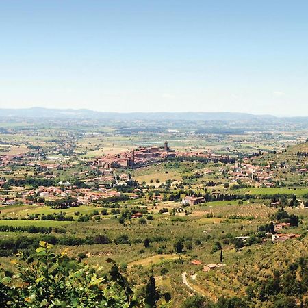 Il Marinocchio Di Malatesti Arezzo Luaran gambar