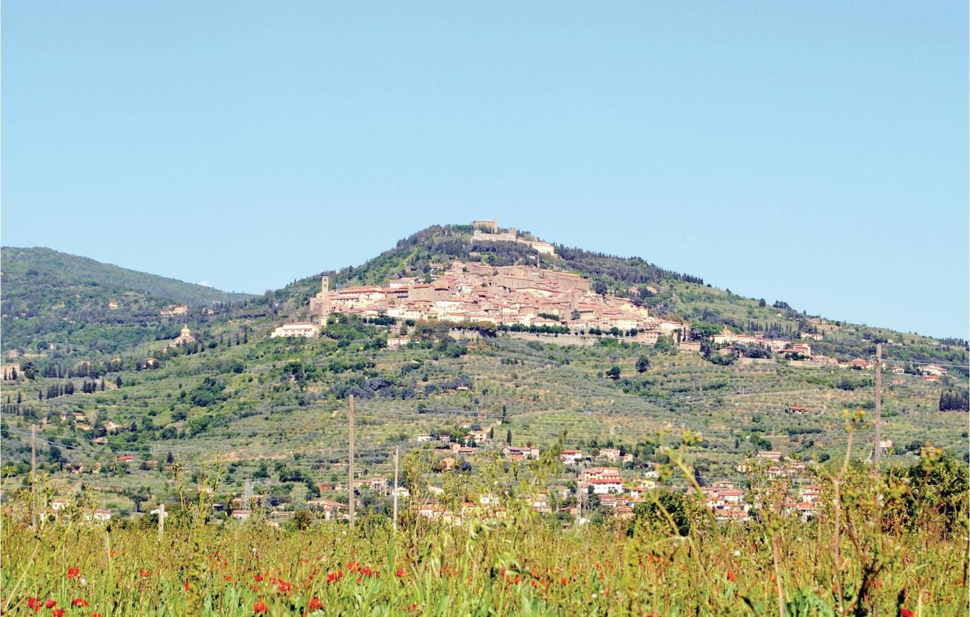 Il Marinocchio Di Malatesti Arezzo Luaran gambar